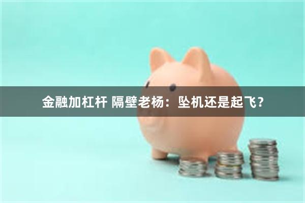 金融加杠杆 隔壁老杨：坠机还是起飞？