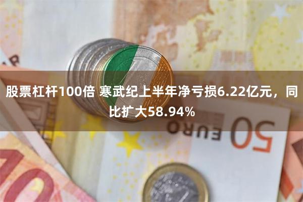股票杠杆100倍 寒武纪上半年净亏损6.22亿元，同比扩大58.94%
