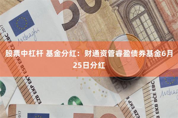 股票中杠杆 基金分红：财通资管睿盈债券基金6月25日分红